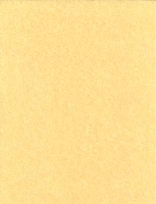 Light Parchment Paper 5 Pack - Click Image to Close